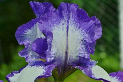 Фотографии от pixelzz