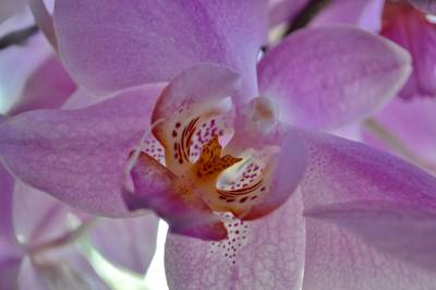 Фотографии от pixelzz