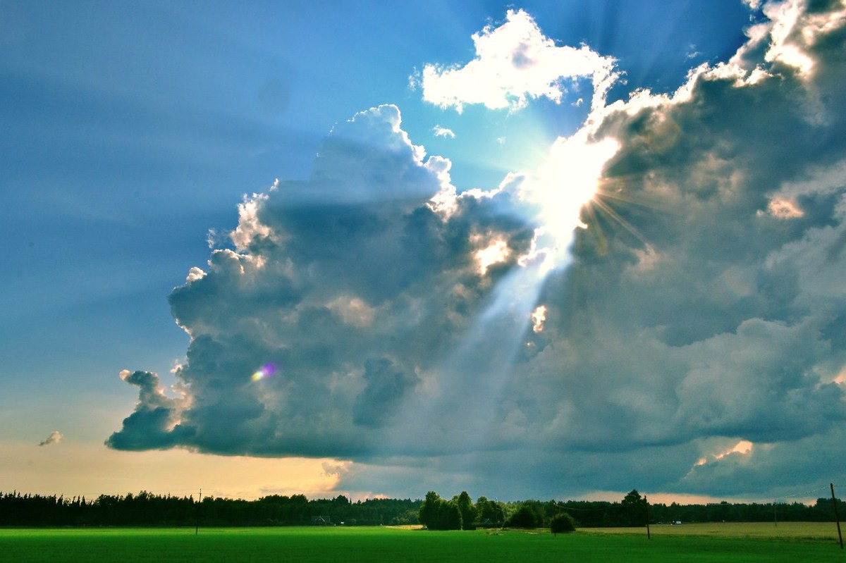  Фотографии от pixelzz. 