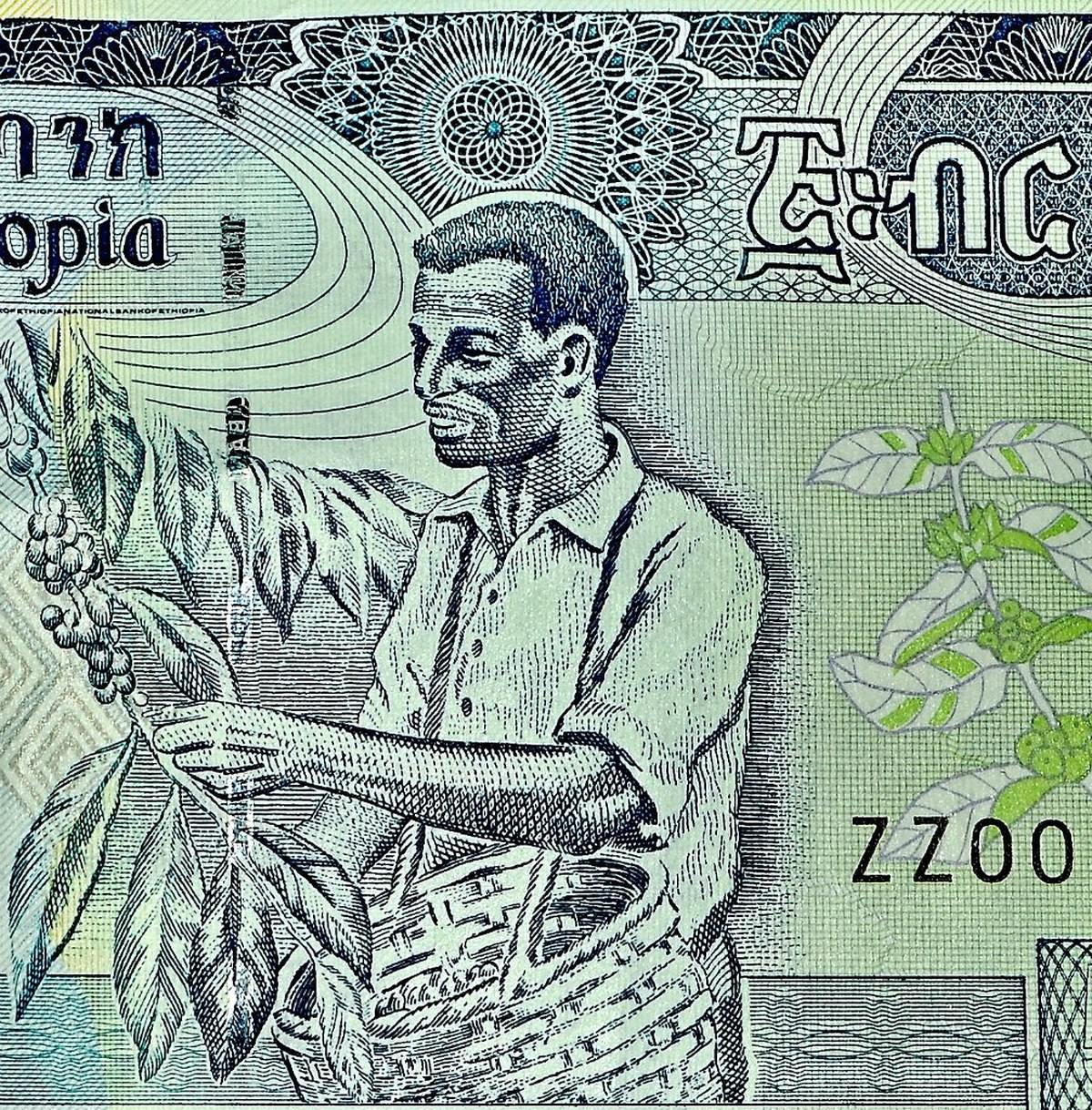  Фотографии от pixelzz. 