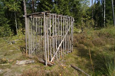 Место для костра Пертлиметса. Pertlimetsa lõkkekoht.