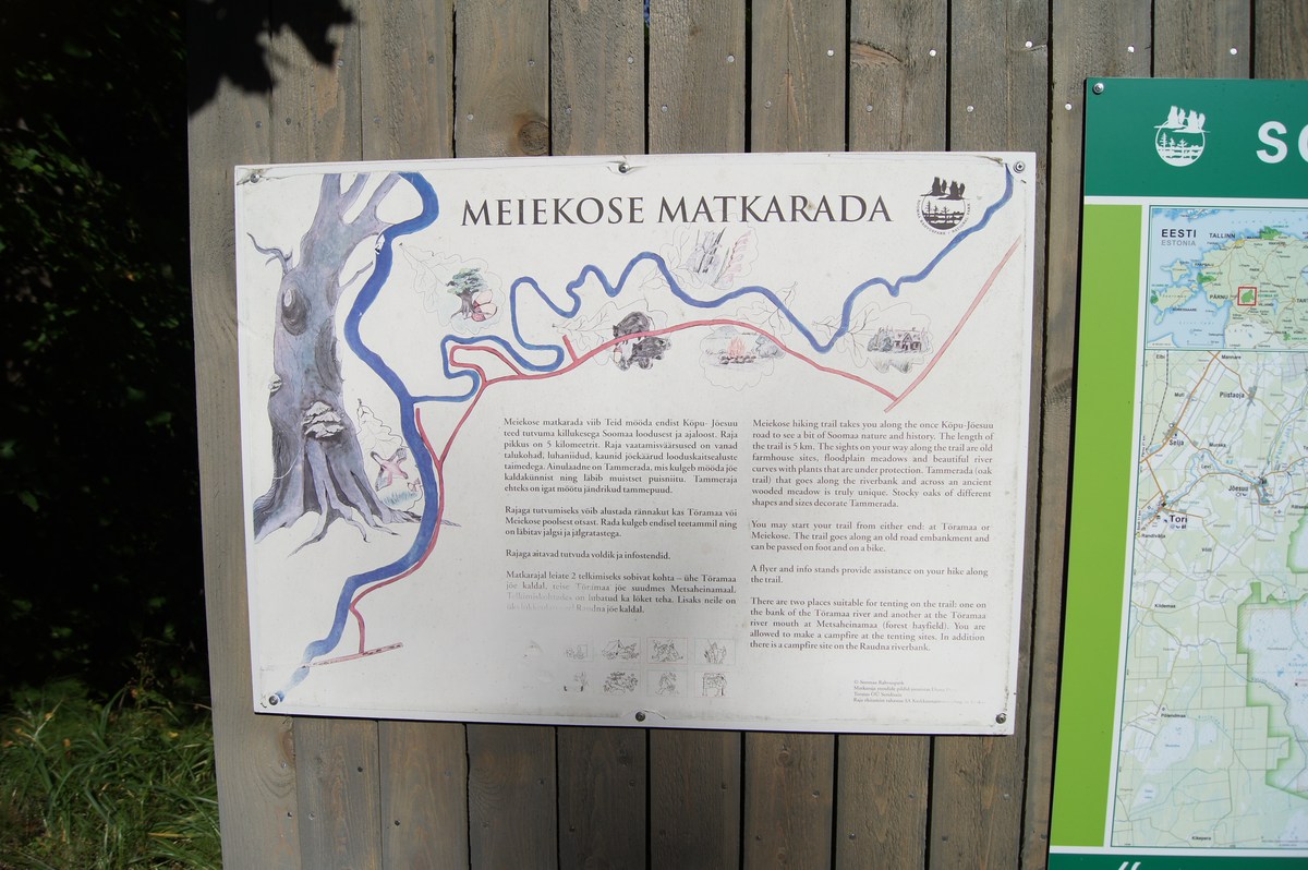  Место для костра Муйнаскюла. Muinasküla lõkkekoht.