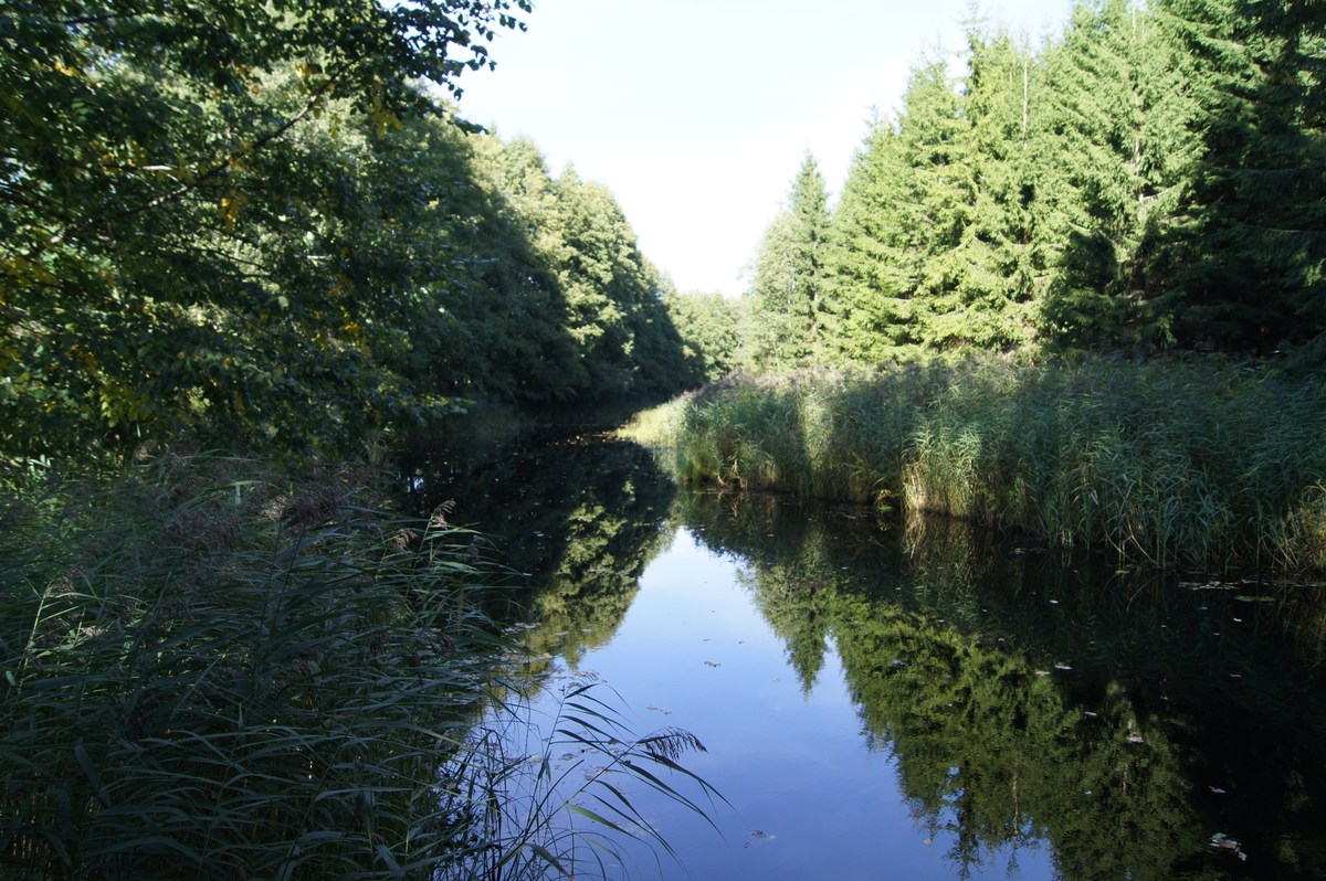Река. Место для костра Муйнаскюла. Muinasküla lõkkekoht.