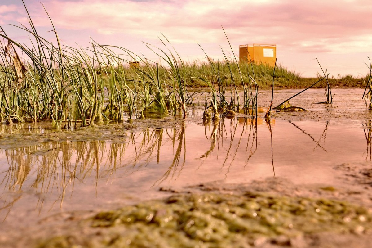  Фотографии от pixelzz. 