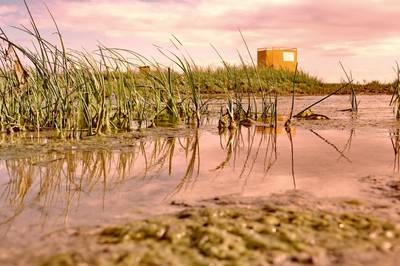 Фотографии от pixelzz