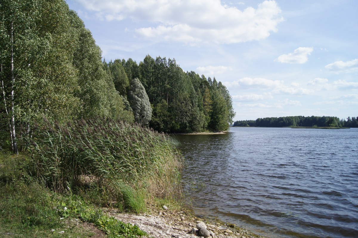  Paunküla Reservoir. Paunküla veehoidla.