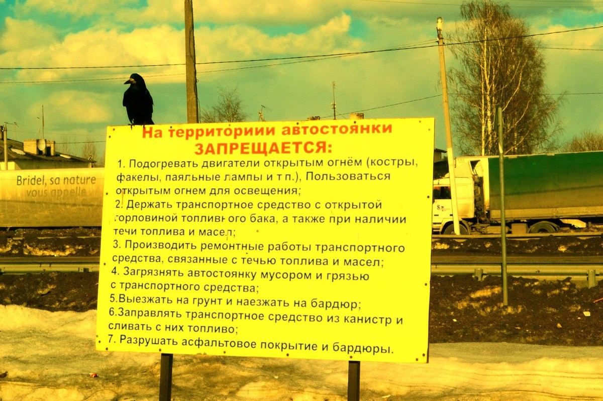  Фотографии от pixelzz. 