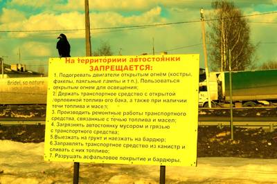 Фотографии от pixelzz