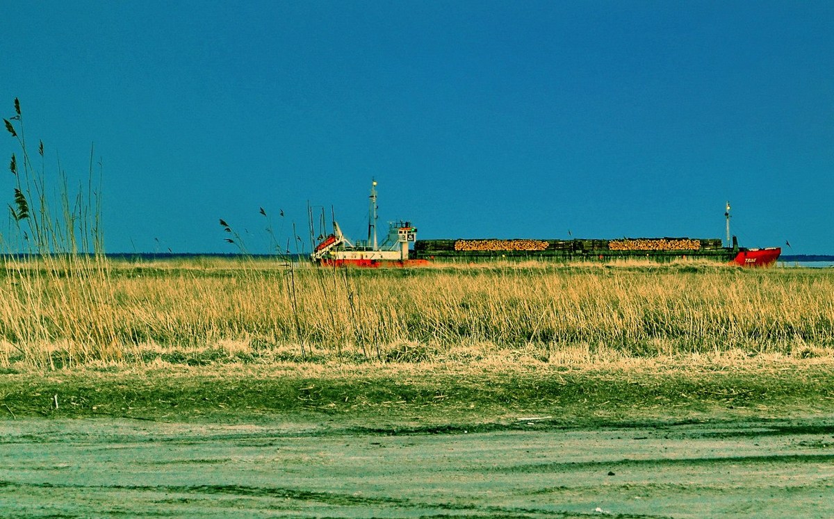  Фотографии от pixelzz. 