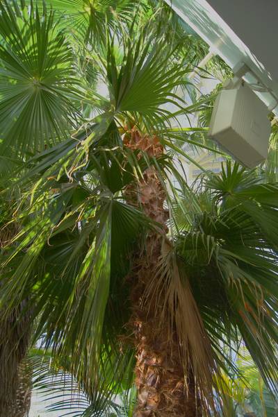 Tallinn Botanic Garden