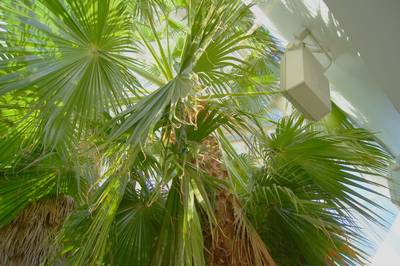 Tallinn Botanic Garden