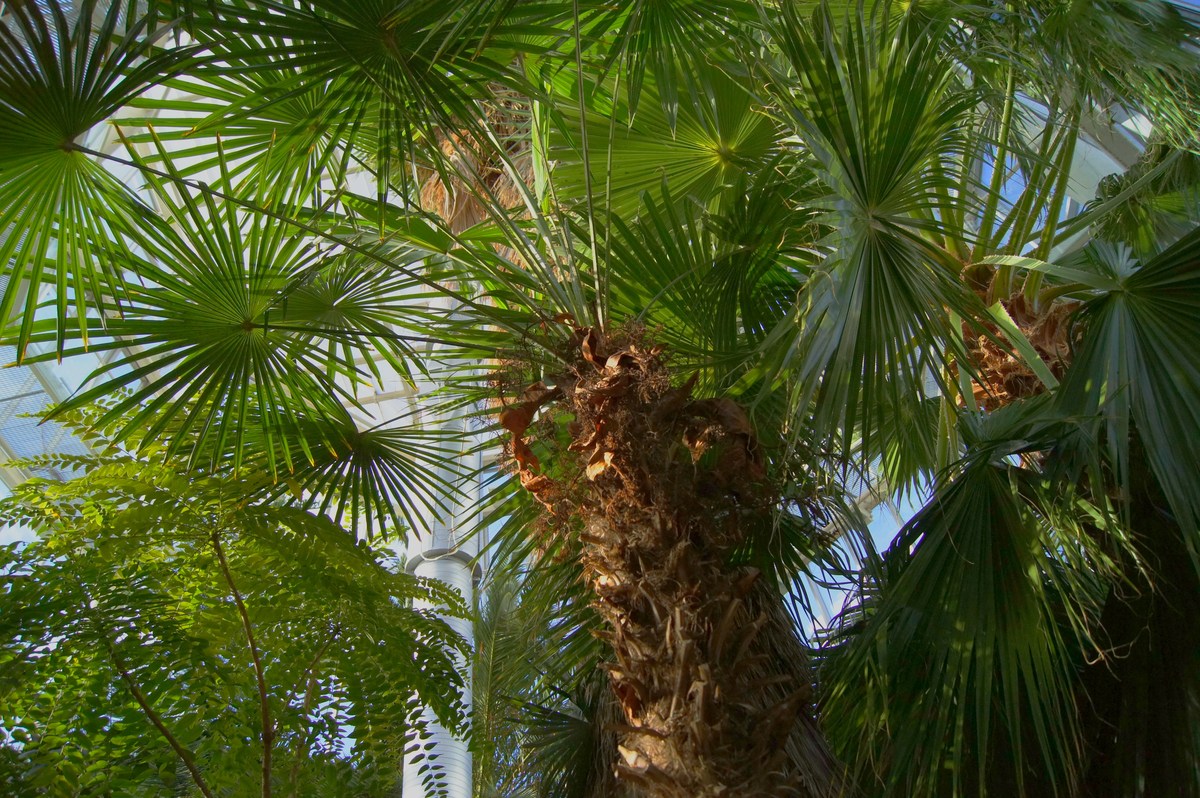  Tallinn Botanic Garden.