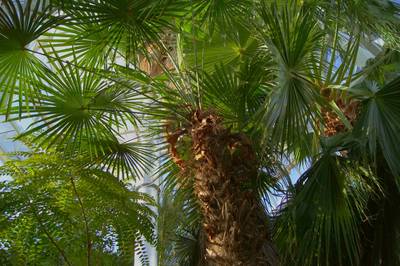 Tallinn Botanic Garden