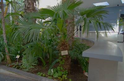 Tallinn Botanic Garden