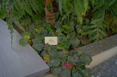 Tallinn Botanic Garden