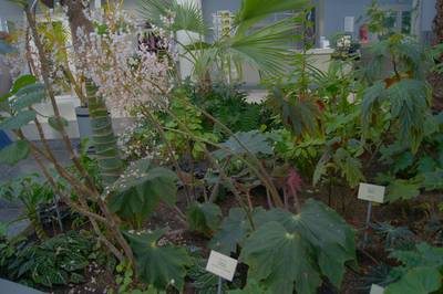 Tallinn Botanic Garden