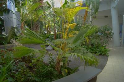 Таллиннский ботанический сад