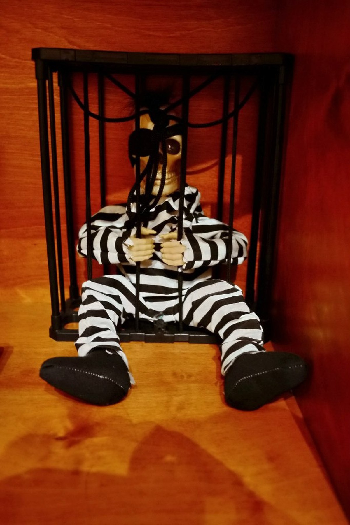  Фотографии от pixelzz. 