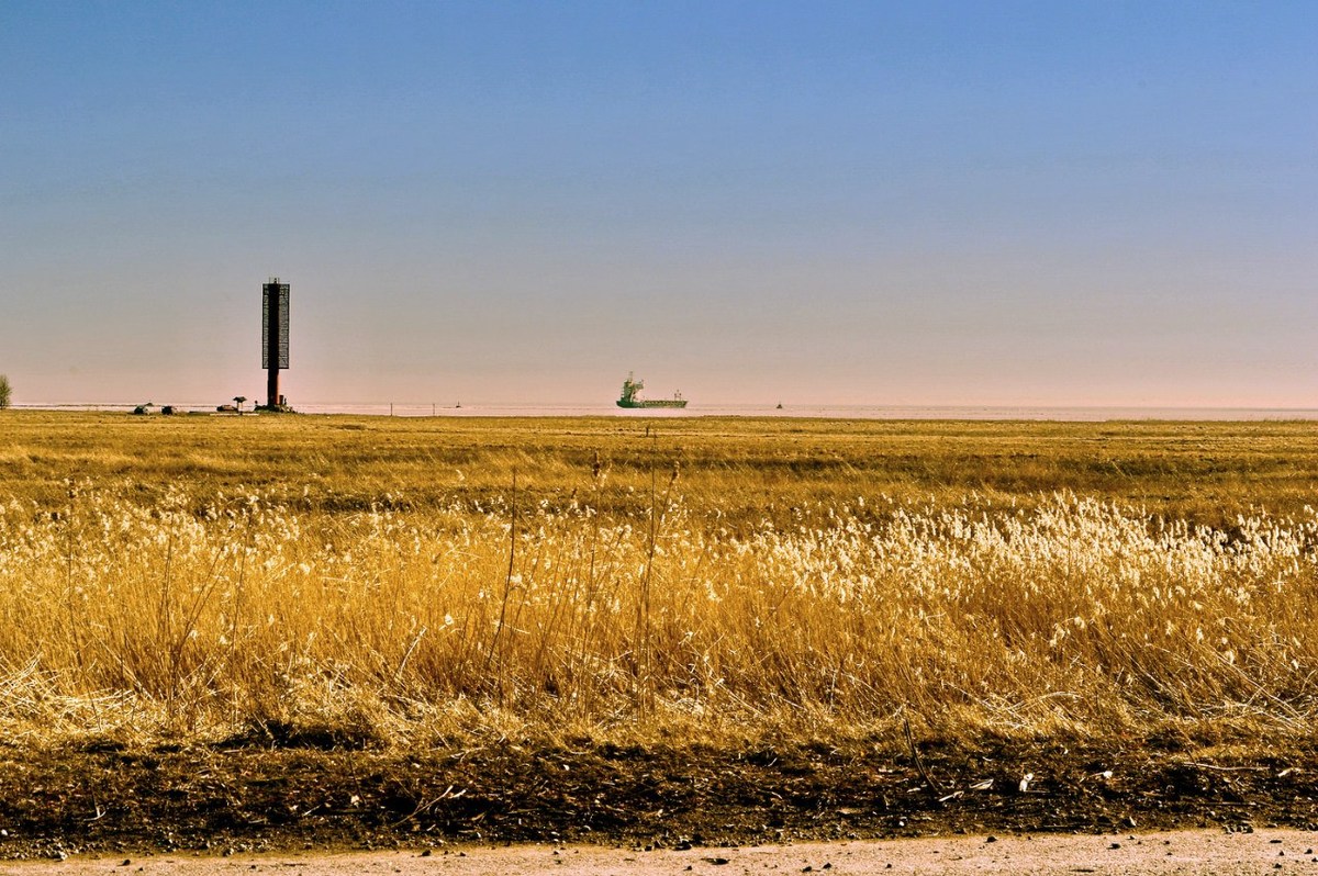  Фотографии от pixelzz. 