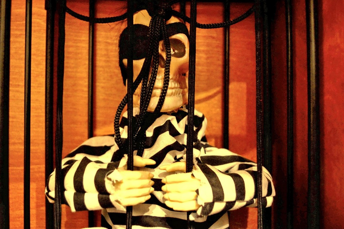  Фотографии от pixelzz. 