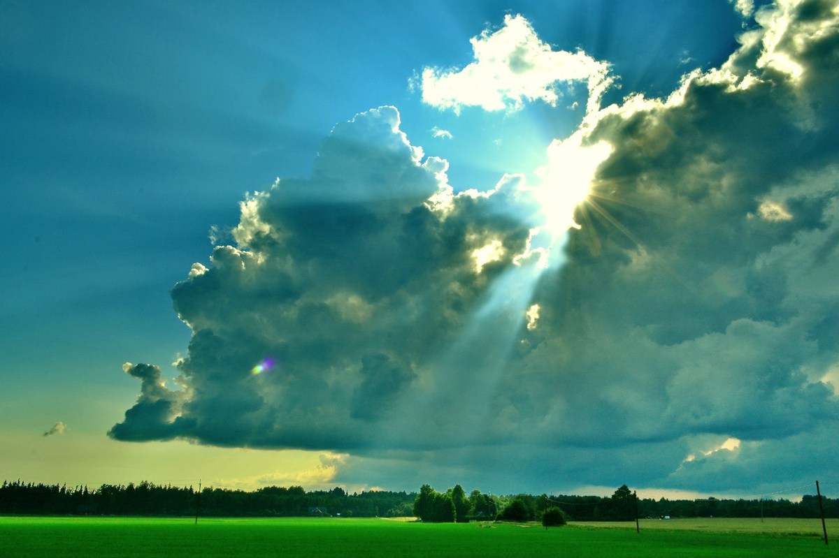  Фотографии от pixelzz. 