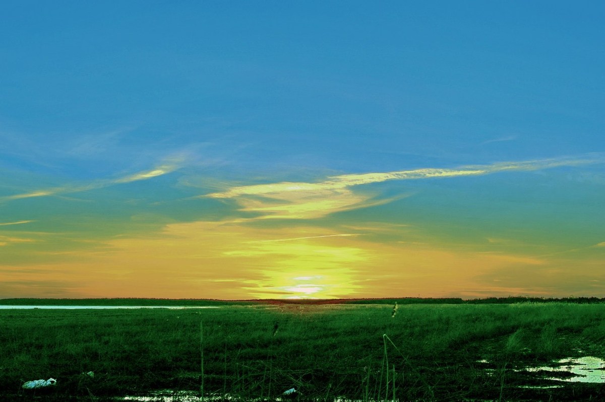  Фотографии от pixelzz. 