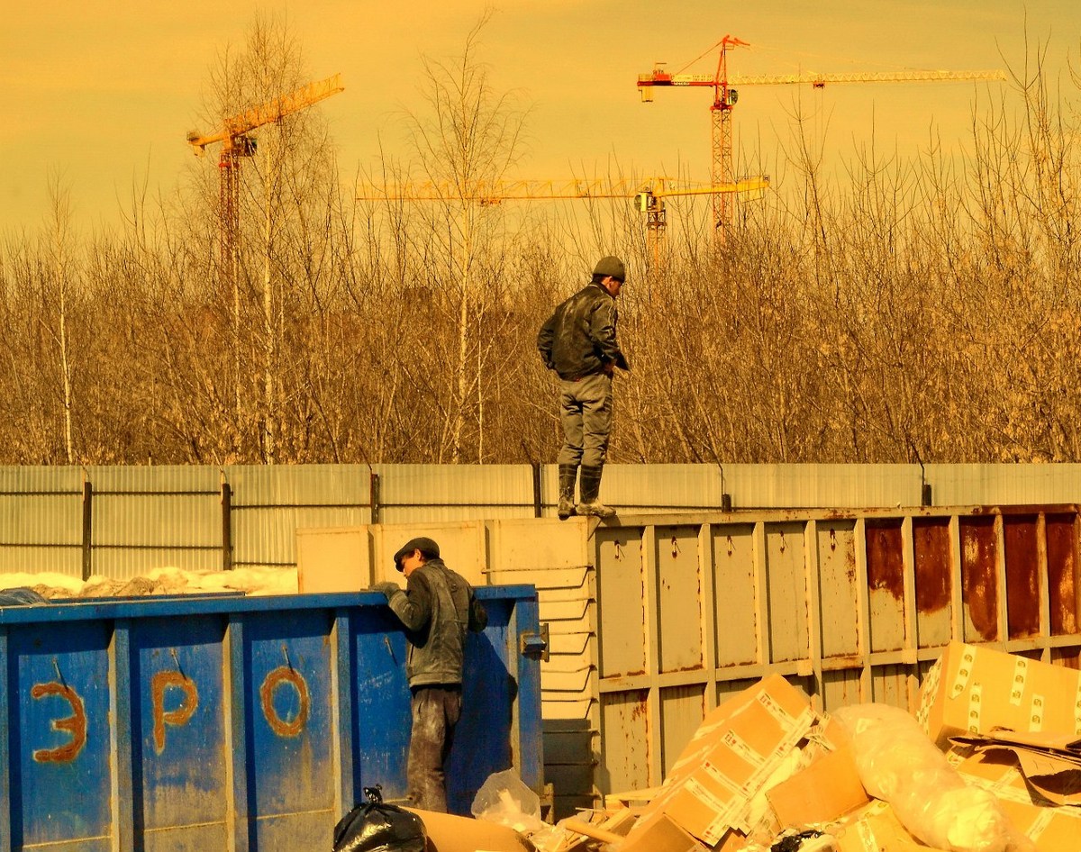  Фотографии от pixelzz. 