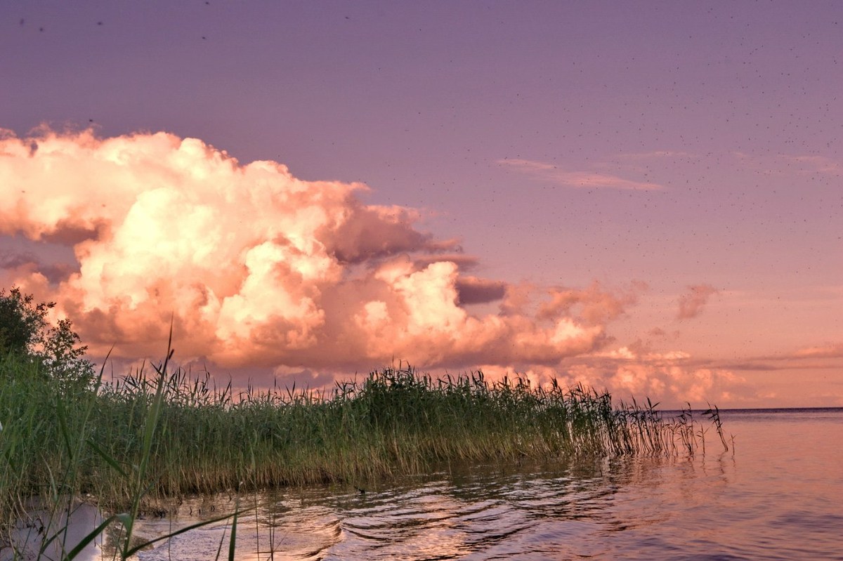  Фотографии от pixelzz. 