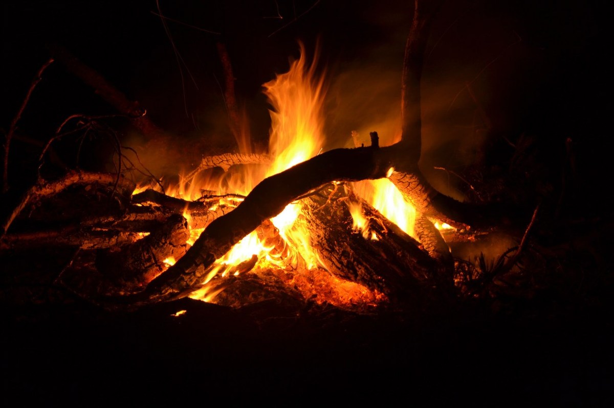  Фотографии от pixelzz. 