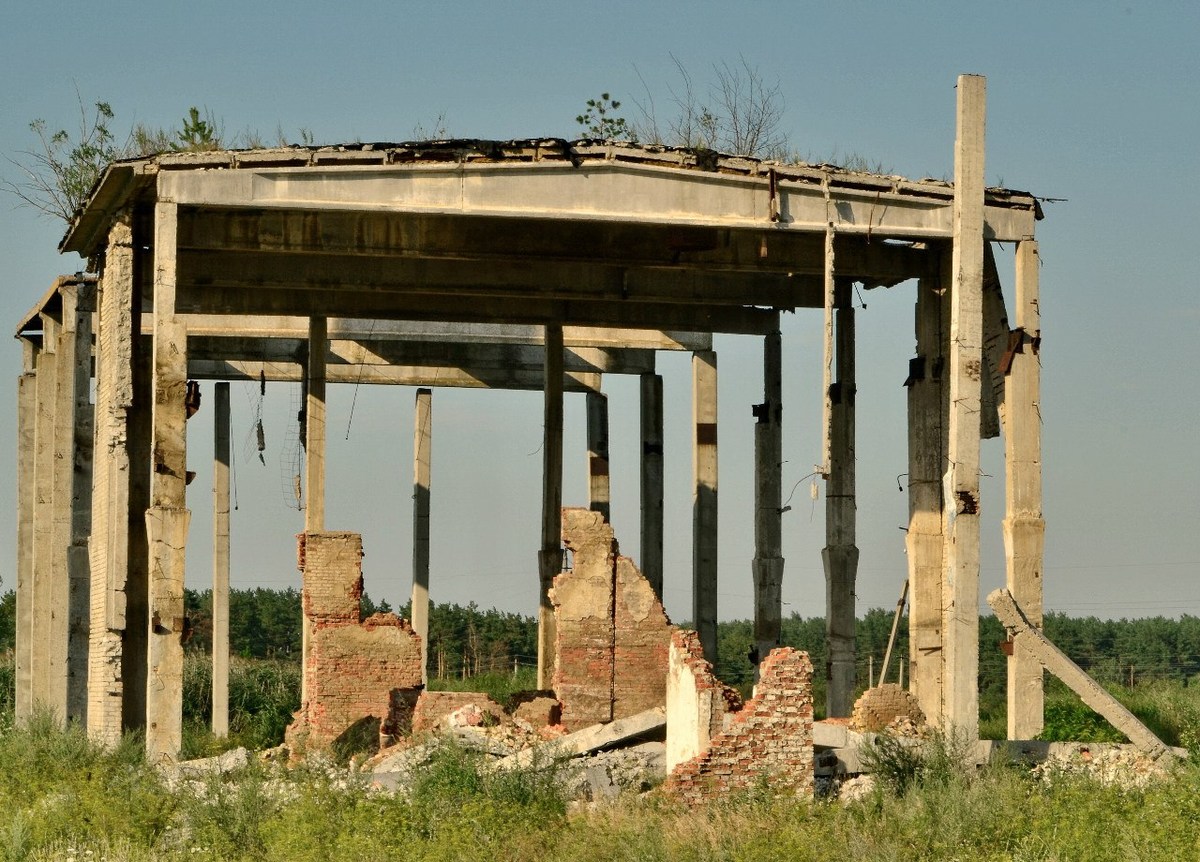  Фотографии от pixelzz. 