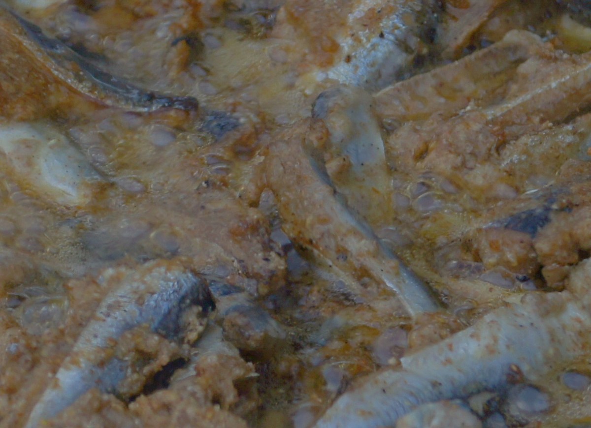 Fish fried in oil for a snack.  Pärnu Grillfest.