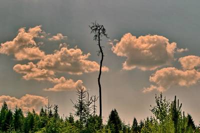 Фотографии от pixelzz