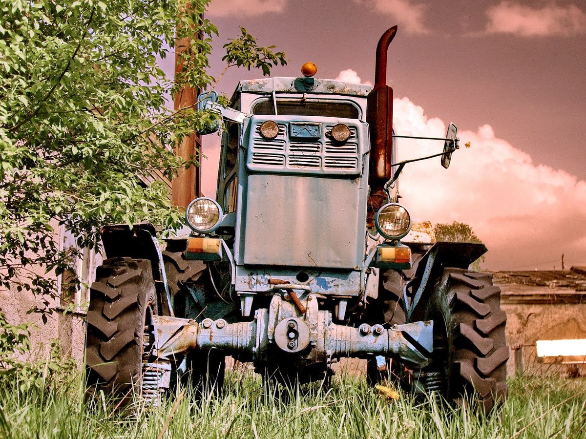  Фотографии от pixelzz. 