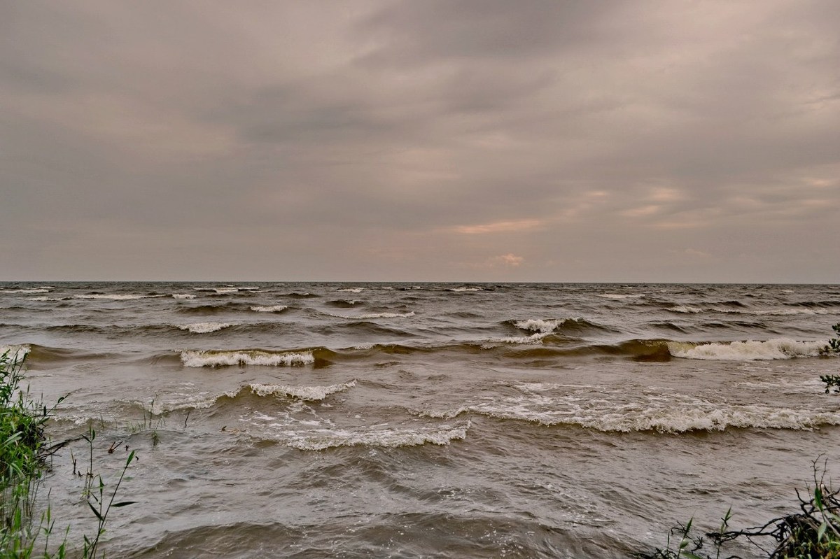  Фотографии от pixelzz. 