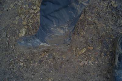 Пикник в Соомаа. Meiekose saarte laagriplats.