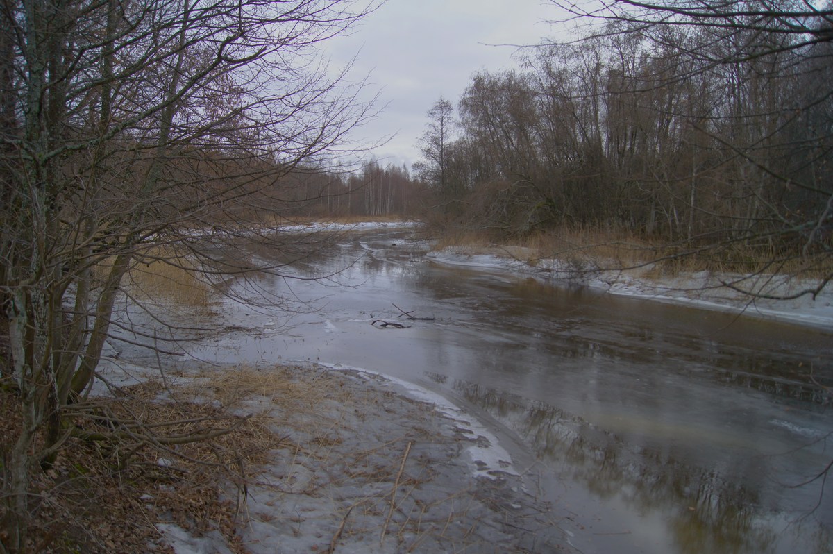 Река.  Пикник в Соомаа. Meiekose saarte laagriplats.