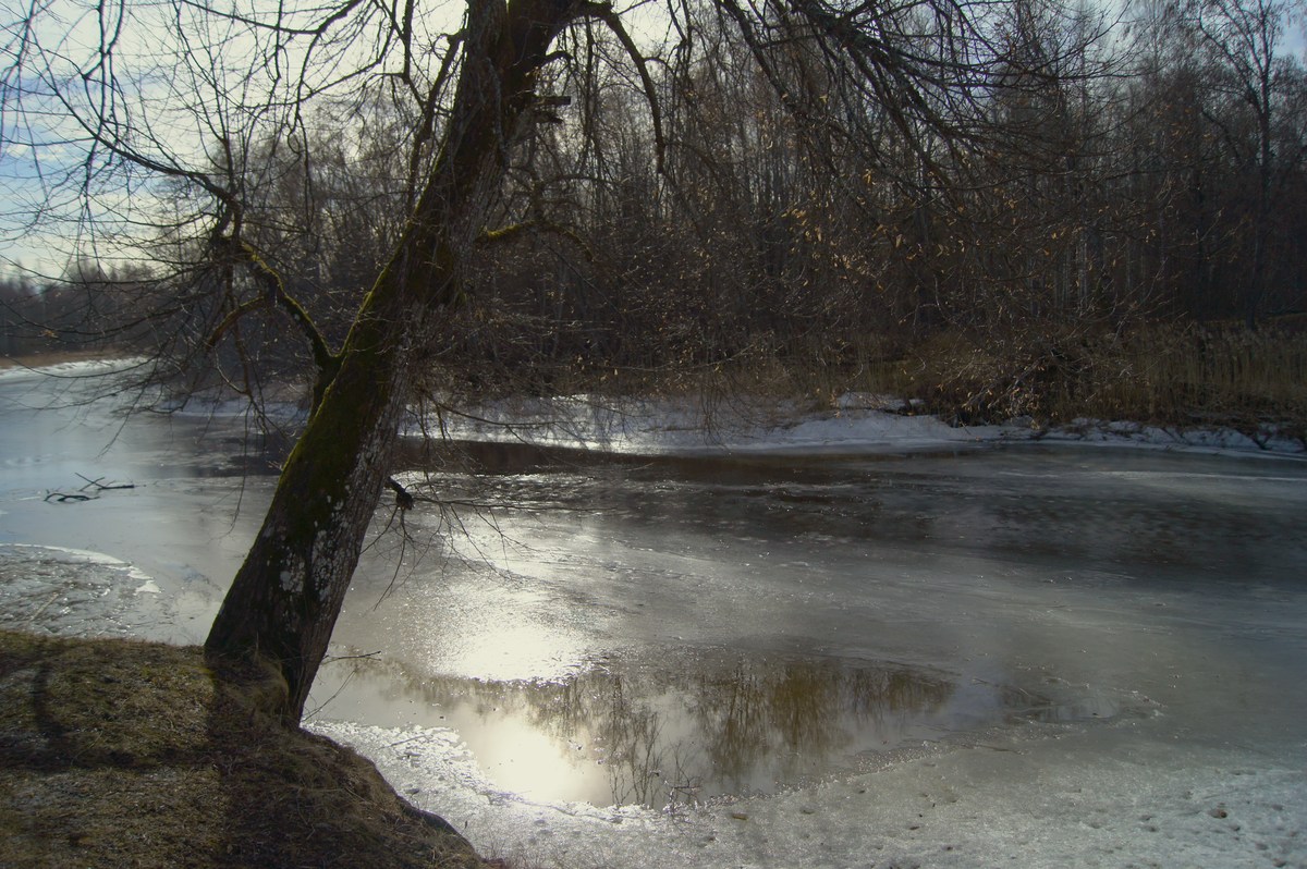 Река.  Пикник в Соомаа. Meiekose saarte laagriplats.