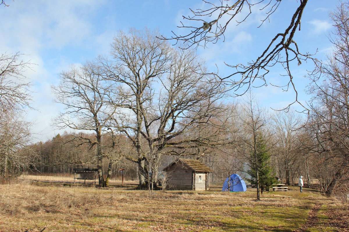  Пикник в Соомаа. Meiekose saarte laagriplats.