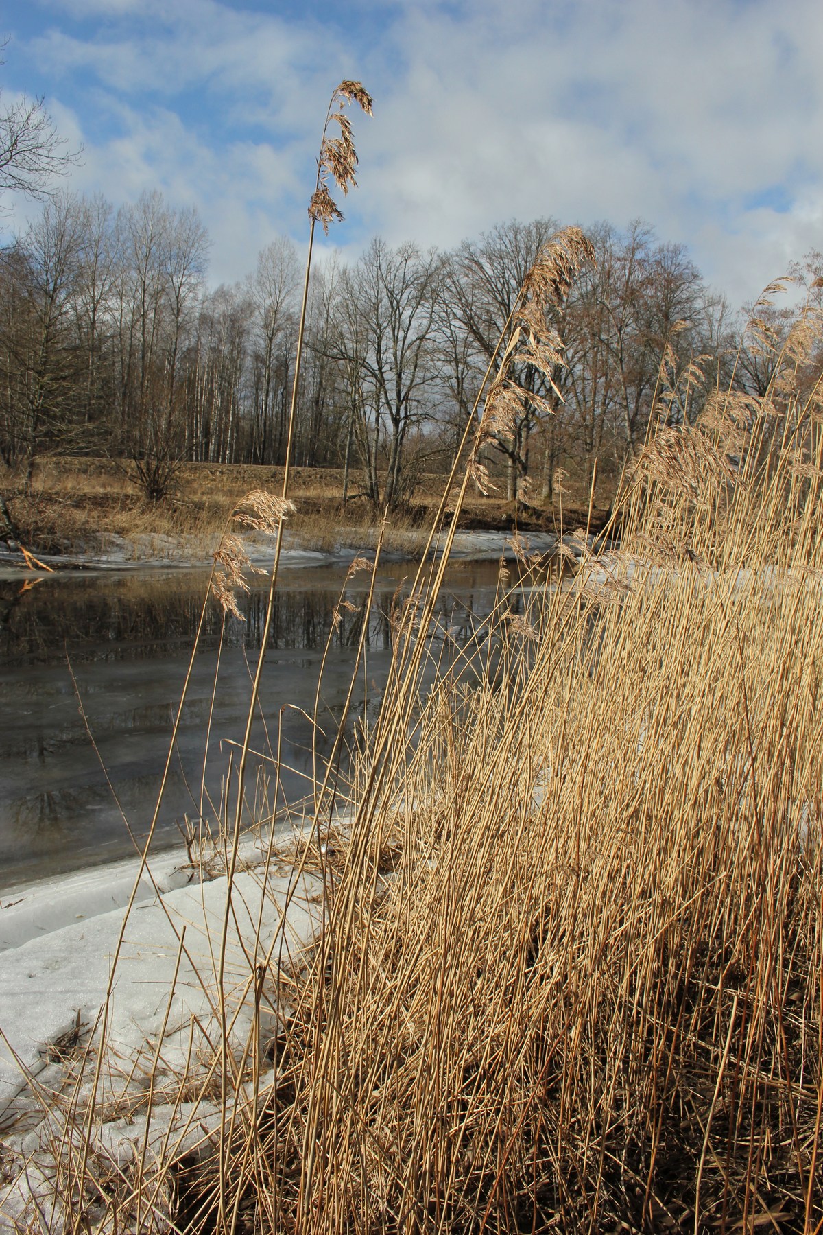  Пикник в Соомаа. Meiekose saarte laagriplats.