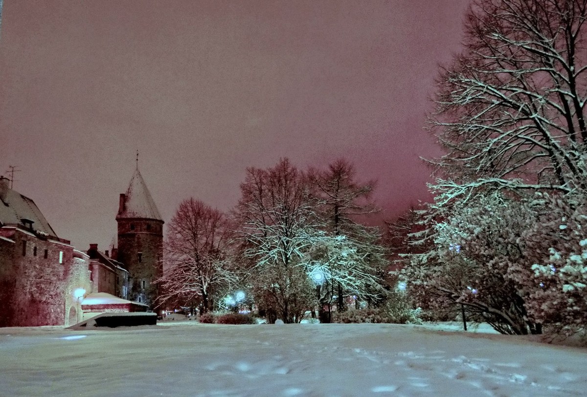  Фотографии от pixelzz. 