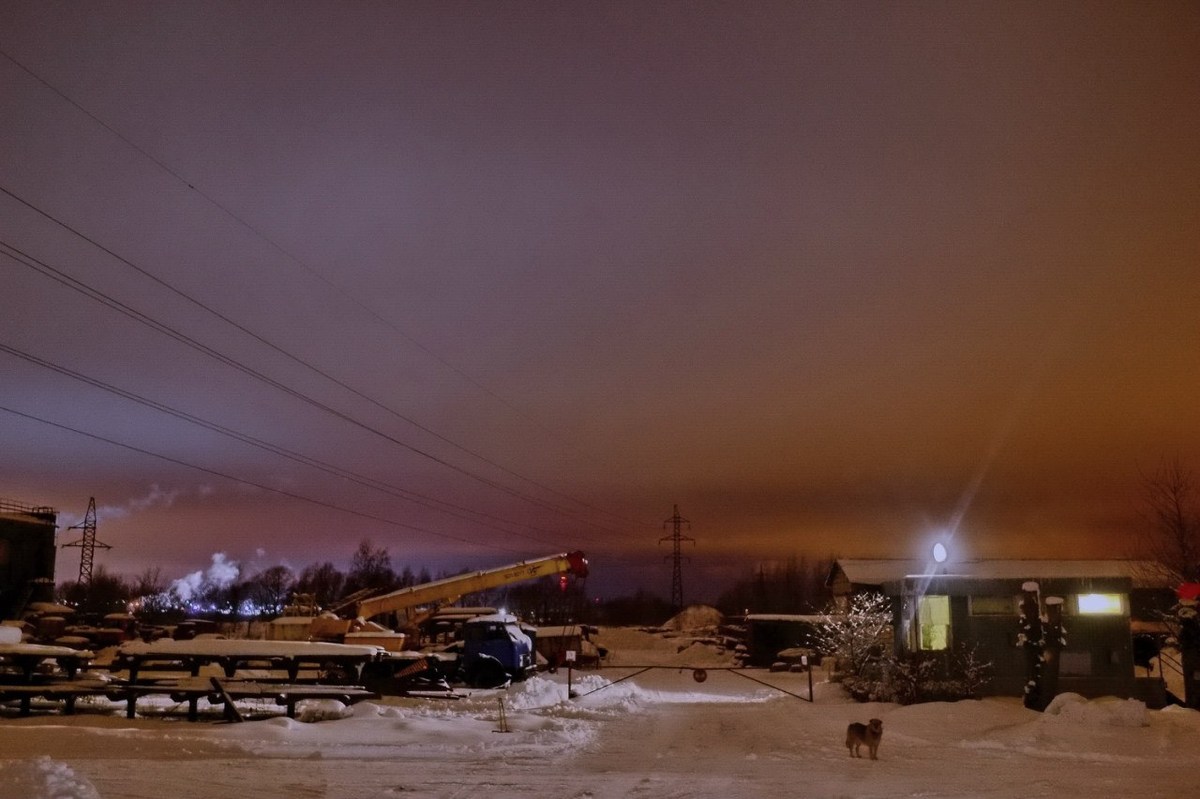  Фотографии от pixelzz. 