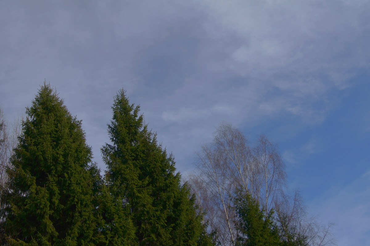  Прогулка в Соомаа. Meiekose ja Ingatsi õpperajad.