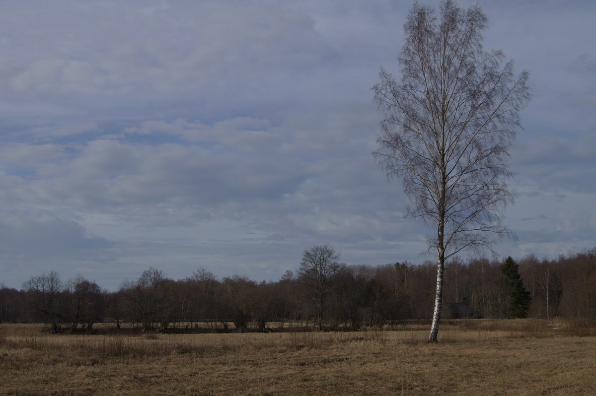  Прогулка в Соомаа. Meiekose ja Ingatsi õpperajad.