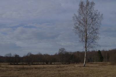Прогулка в Соомаа. Meiekose ja Ingatsi õpperajad.
