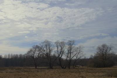 Прогулка в Соомаа. Meiekose ja Ingatsi õpperajad.