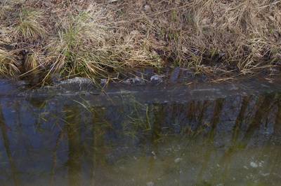 Прогулка в Соомаа. Meiekose ja Ingatsi õpperajad.