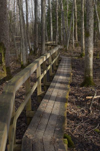 Прогулка в Соомаа. Meiekose ja Ingatsi õpperajad.