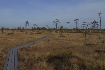 Прогулка в Соомаа. Meiekose ja Ingatsi õpperajad.