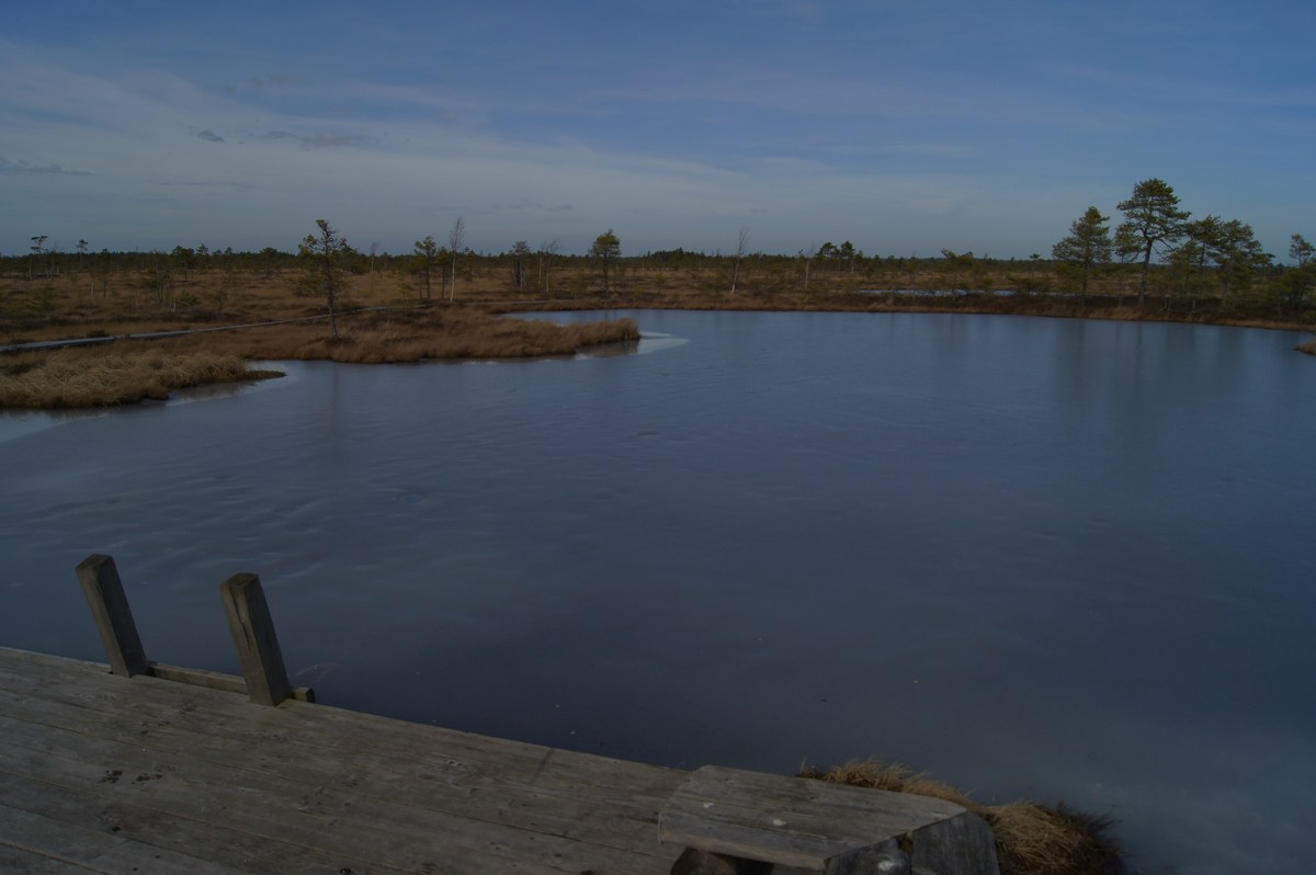 Маленькие озёра на верховом болоте. Прогулка в Соомаа. Meiekose ja Ingatsi õpperajad.
