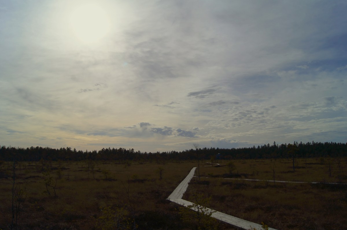 Верховое болото. Прогулка в Соомаа. Meiekose ja Ingatsi õpperajad.